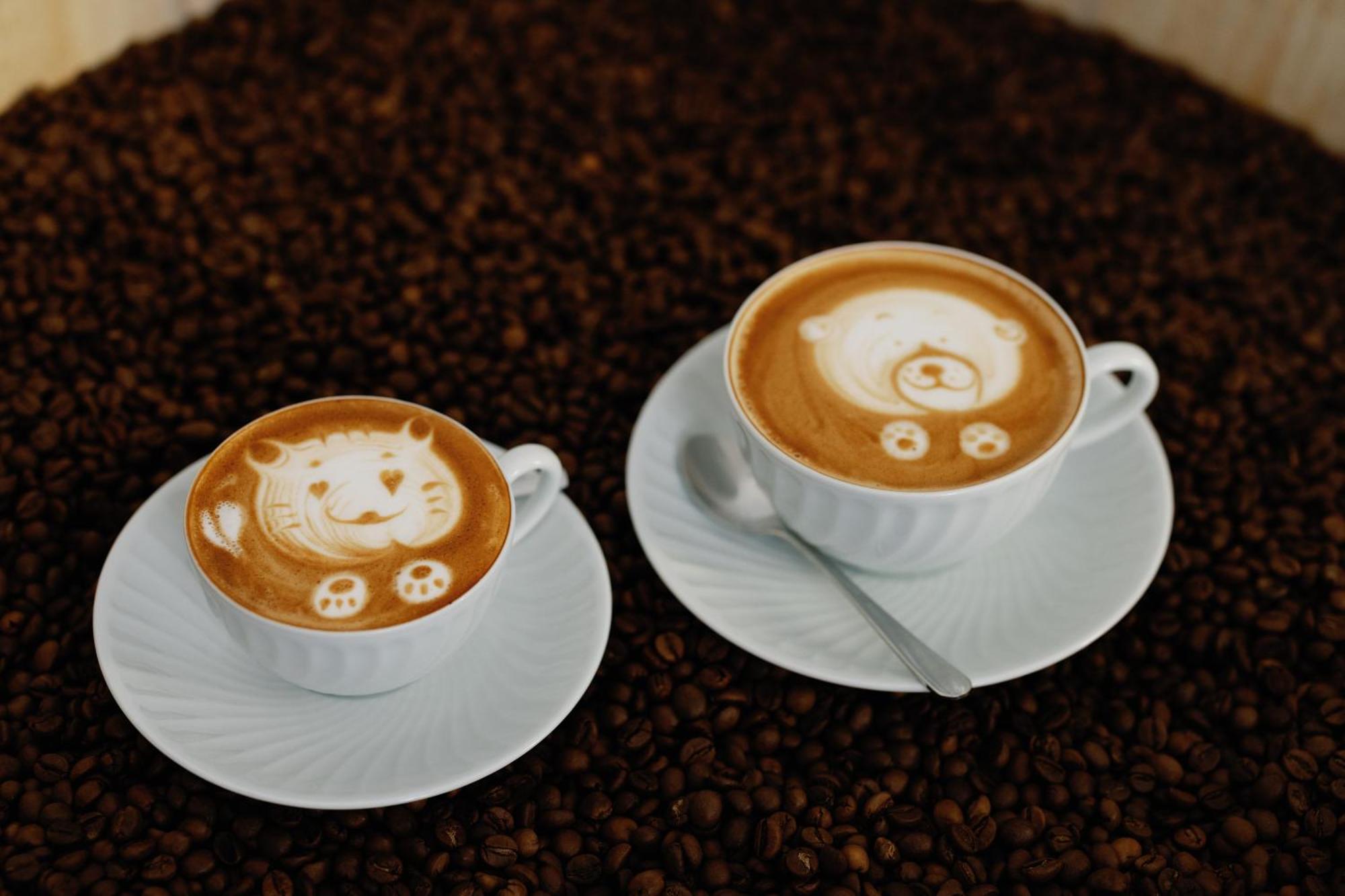 Palacio Do Visconde - The Coffee Experience Lizbona Zewnętrze zdjęcie